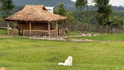 Nongstoin House | Edena - Nongkhnum Island Retreat