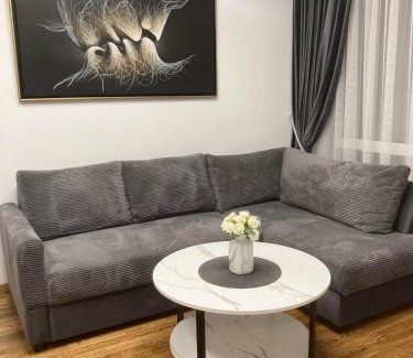 Zujunai Apartment | Editos Apartamentai