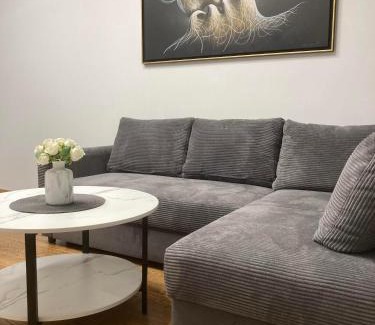 Zujunai Apartment | Editos Apartamentai