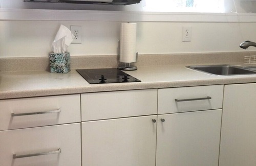 Reston House | Efficiency Private BSMNT APT- DC 20m IAD-10m Metro