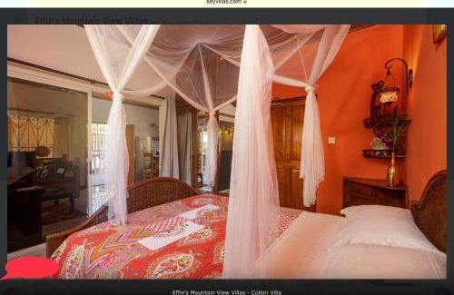Zig Zag Ward Apartment | Effie Mountain View Gecko Villa