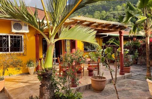 Zig Zag Ward Apartment | Effie Mountain View Gecko Villa