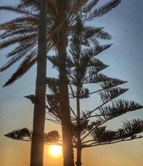 Cesme Hotel | Ege Otel