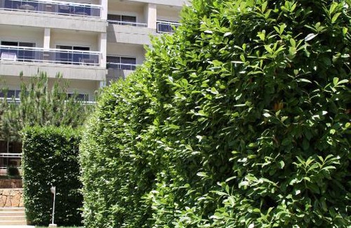Ehden Hotel | Ehden Country Club