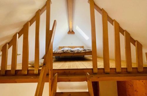 Winningen Apartment | Ehemaliges Wein Chateau