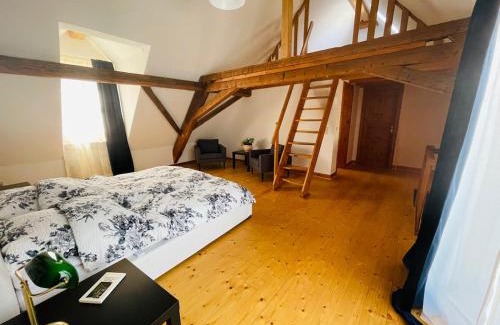 Winningen Apartment | Ehemaliges Wein Chateau