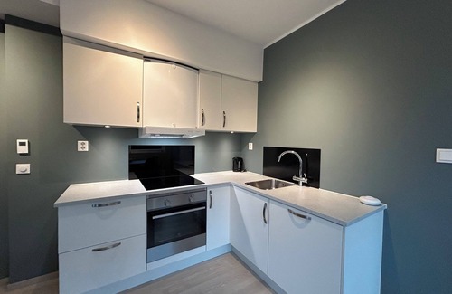 Tromso Apartment | Eidekollen Aurora Hideaway