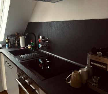 Edingen-Neckarhausen Apartment | Eindrucksvolles Gruppen– und Monteursloft
