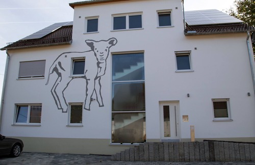 Asch Apartment | Einzelzimmer mit Küchenzeile