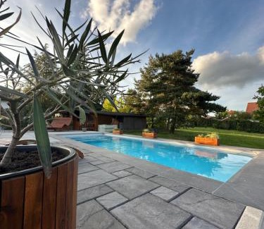Bad Salzungen House | Einzigartiges Haus mit Pool großem Garten und Kamin
