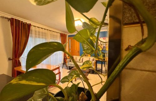 Muyenga Apartment | Eka256