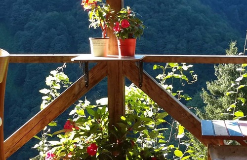 Ayder Hotel | Ekodanitap Natural Life