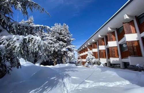 Tizi Ouzou Province Hotel | El-Arz Hotel