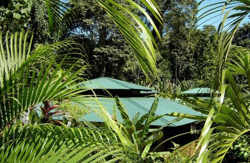 Chiguata Bed & Breakfast | El Colibri Lodge