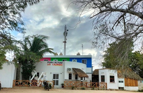 Rio Lagartos Apartment | El Corazón de Las Coloradas Yucatán, Mexico