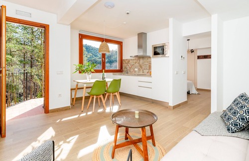 Can Ginebre Apartment | El Gallinero - Spacious apartment in Masia