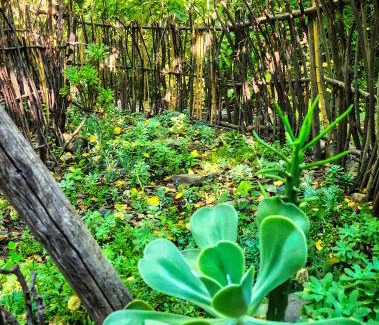 San Alfonso Cabin | El Jardin, Eco Cabañas Boutique
