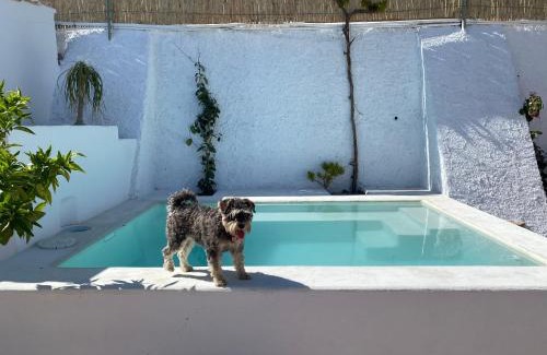 Nijar House | El Majuelo 2