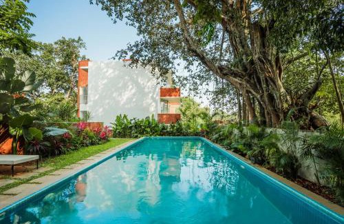 Parra Apartment | El Raso, Premium 1 BHK Apartments with Shared Pool, just 2 mins drive from famous Parra Coconut Tree Road, 24x7 Security, Kitchen, Daily Housekeeping