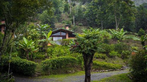 Copey Cabin | El Toucanet Lodge & Restaurante