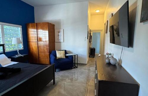 Parque Apartment | Elegant 1-Br Penthouse in Condado!
