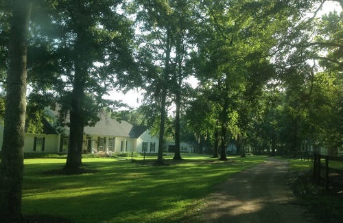 Monticello Cottage | Elegant 2 Bedroom, 2 Bath Guest House close to Tallahassee