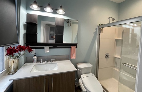 Old Town Alexandria Apartment | Elegant and spacious apt in the heart of old town Alexandria