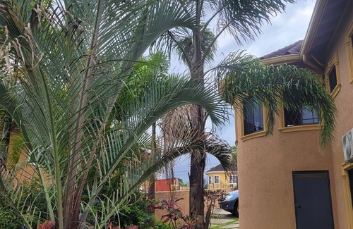 Mandeville Apartment | Elegant apartment with WiFi in safe , private area in Mandeville