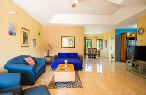 Mandeville Apartment | Elegant,Central & spacious unit with AC at DW APTS