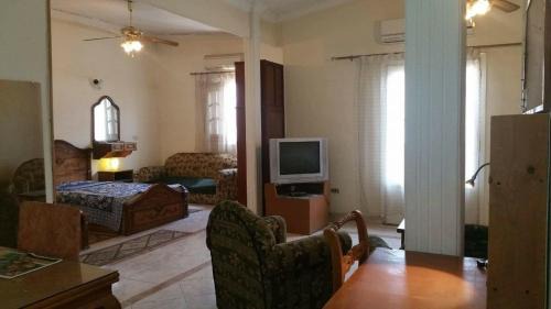 Heliopolis Apartment | Elegant Heliopolis, Studio-apartment