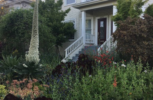 Elmwood House | Elegant Home Minutes to UCBerkeley, Lab bus and Express bus to San Francisco