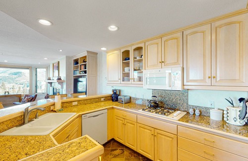 Mountain Village Condo | Elegant Mountain Condo