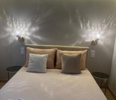 Aix-les-Bains City Center Apartment | Elegant studio between train station and city center
