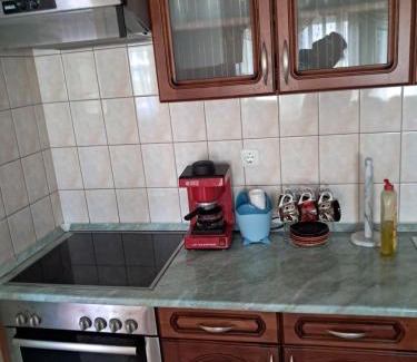 Hajduszoboszlo Apartment | Elena Apartman