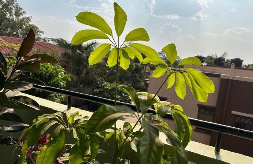 Gulu Apartment | Elena & Kimberly