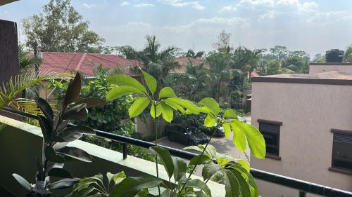 Gulu Apartment | Elena & Kimberly