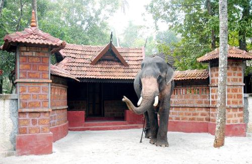Cherthala House | Elephant Courtyard- A Heritage Homestay