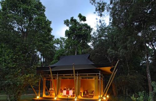 Talek Other | Elephant Pepper Camp