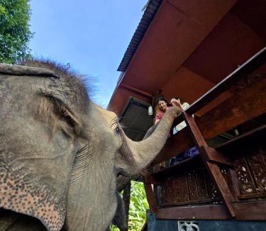 Mae Taeng House | Elephant view terrace chiang mai บ้านระเบียงชมช้าง
