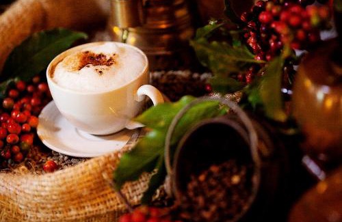 Arusha Cabin | Elewana Arusha Coffee Lodge