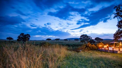Talek Other | Elewana Sand River Mara