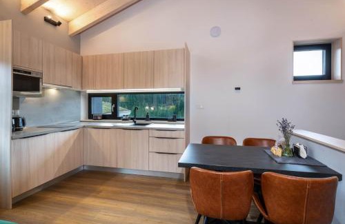 Ruzomberok Apartment | Eliška apartment - modern mountain loft apartment in Ski resort Malino Brdo