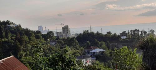 Mtsvane Kontskhi House | Elina guest house
