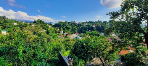 Mtsvane Kontskhi House | Elina guest house
