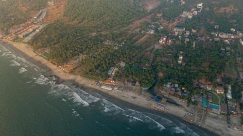 Morjim Villa | ELIVAAS House of Neptune 1 BHK Boutique Villa on the Beach