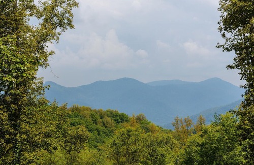 Weaverville Cabin | Elk Mountain Lodge sleeps 8-16 with hot tub!