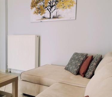 Dirfys-Messapia Apartment | Ellegant apartment in Politika