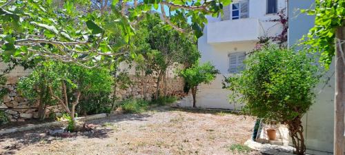 Posidonia Apartment | Elli's House