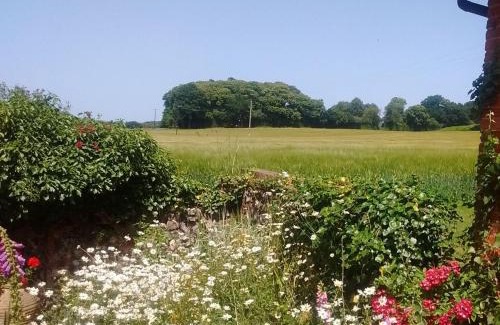Skeyton House | Elm Tree Barn