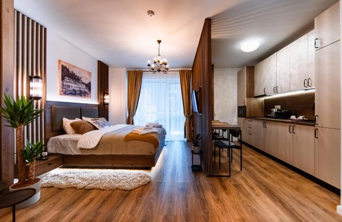Sinaia Apartment | Elma Studio Sinaia